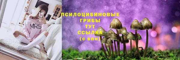 MDMA Premium VHQ Пролетарск