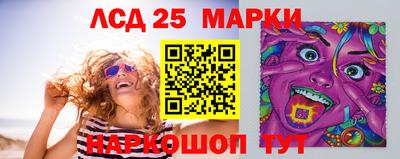 прущие грибы Будённовск