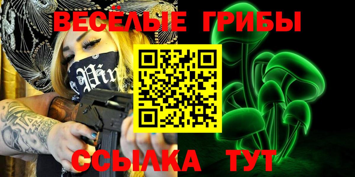 Галлюциногенные грибы Psilocybe Асбест