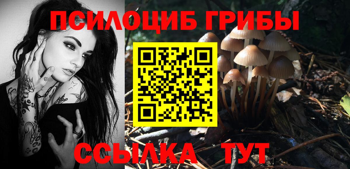 Асбест  Псилоцибиновые грибы Psilocybine cubensis  Вход с VPN 