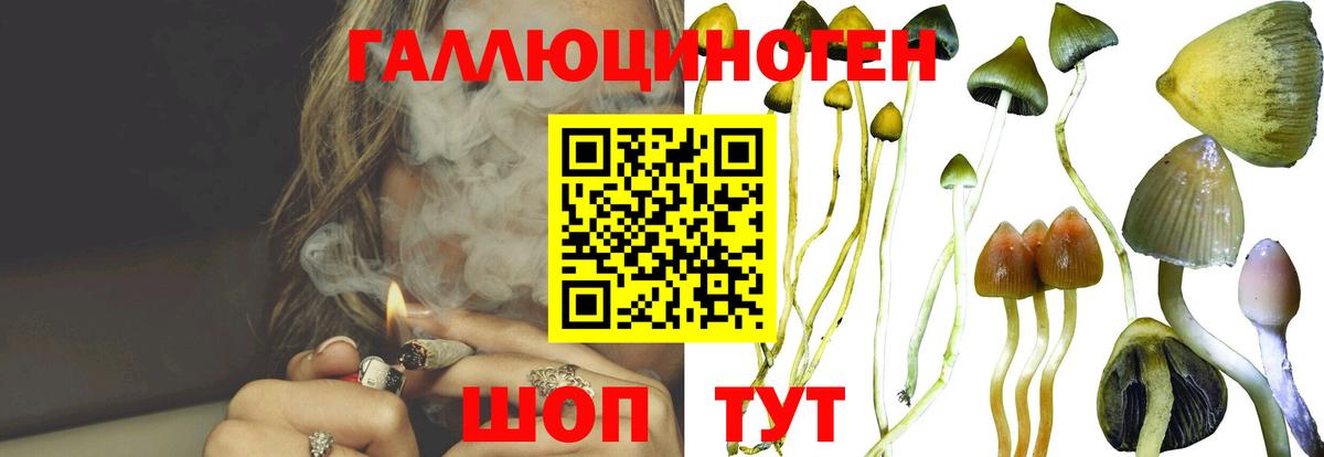 Галлюциногенные грибы MAGIC MUSHROOMS  Асбест 